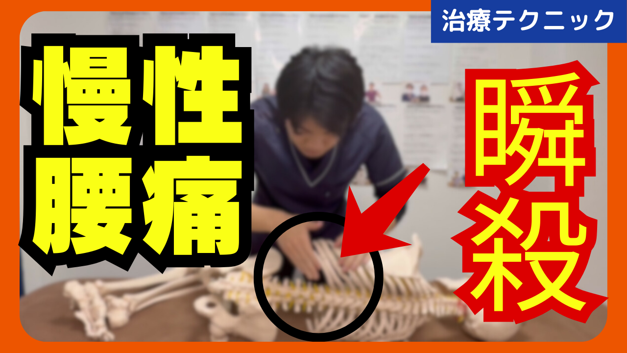 マッサージで改善されない腰痛を瞬殺させる肋椎関節の調整テクニックをご紹介！！